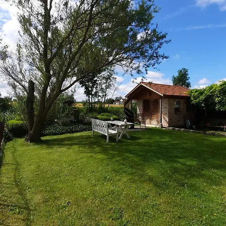 Wiesenblick Ammersee Nah Finning